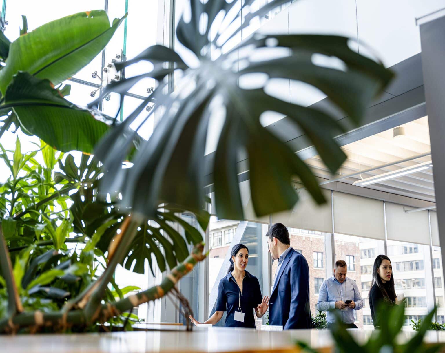 People discussing in a green environment.