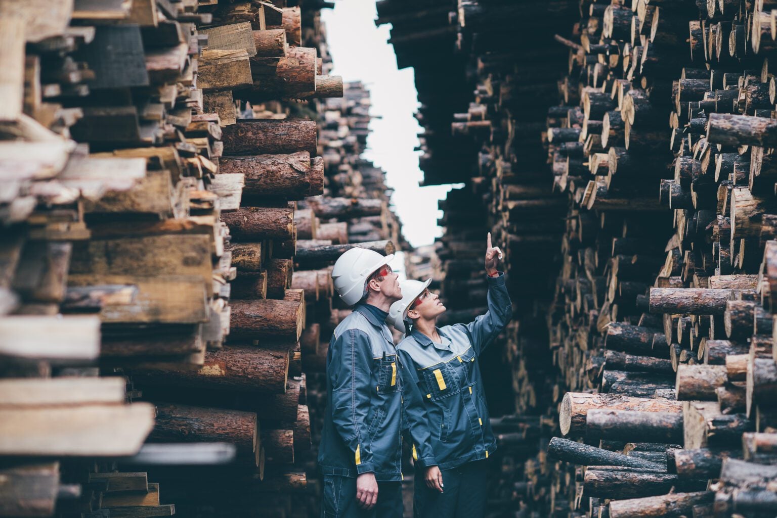 Two workers inspecting stacked timber