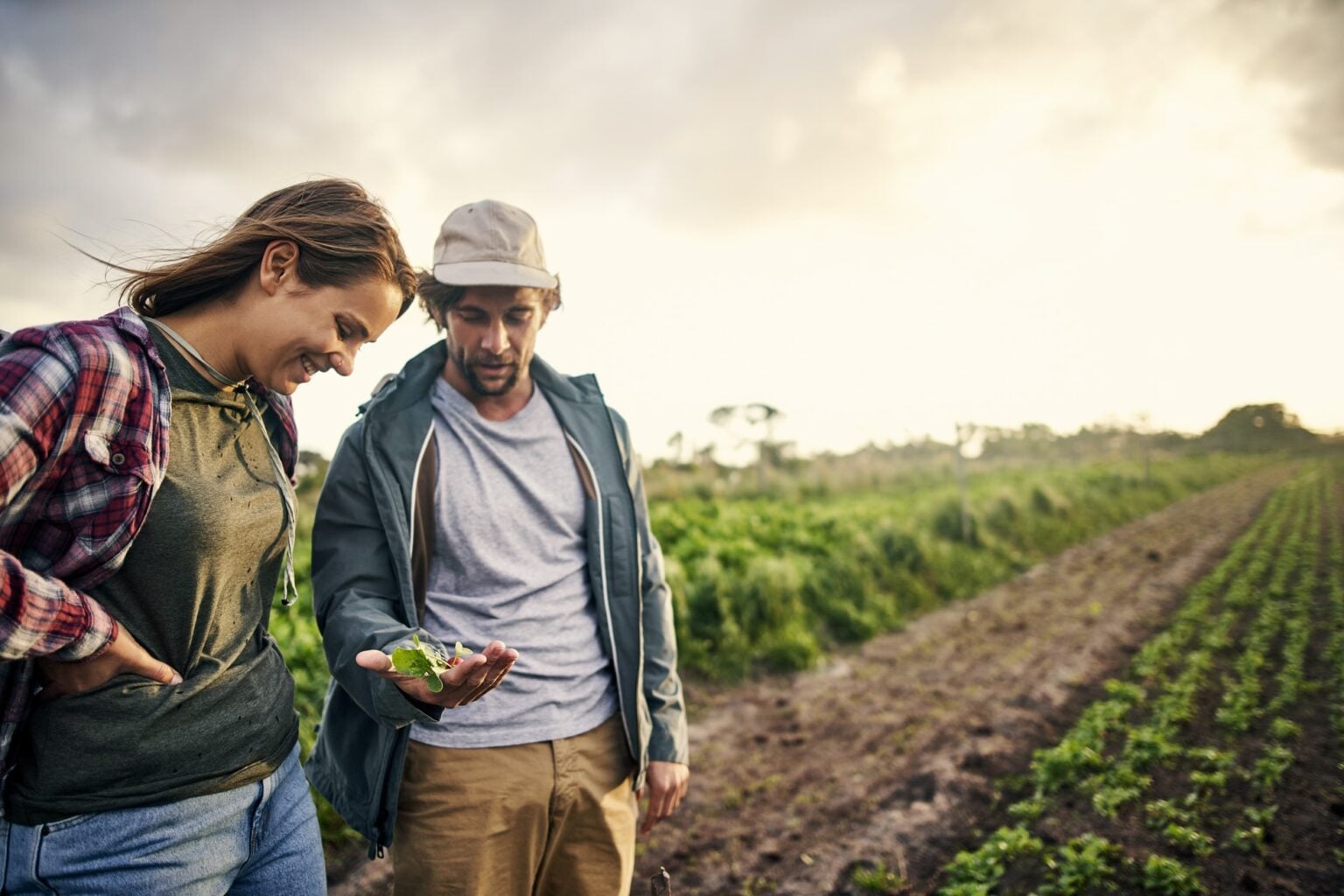 Couple examining plants in field.