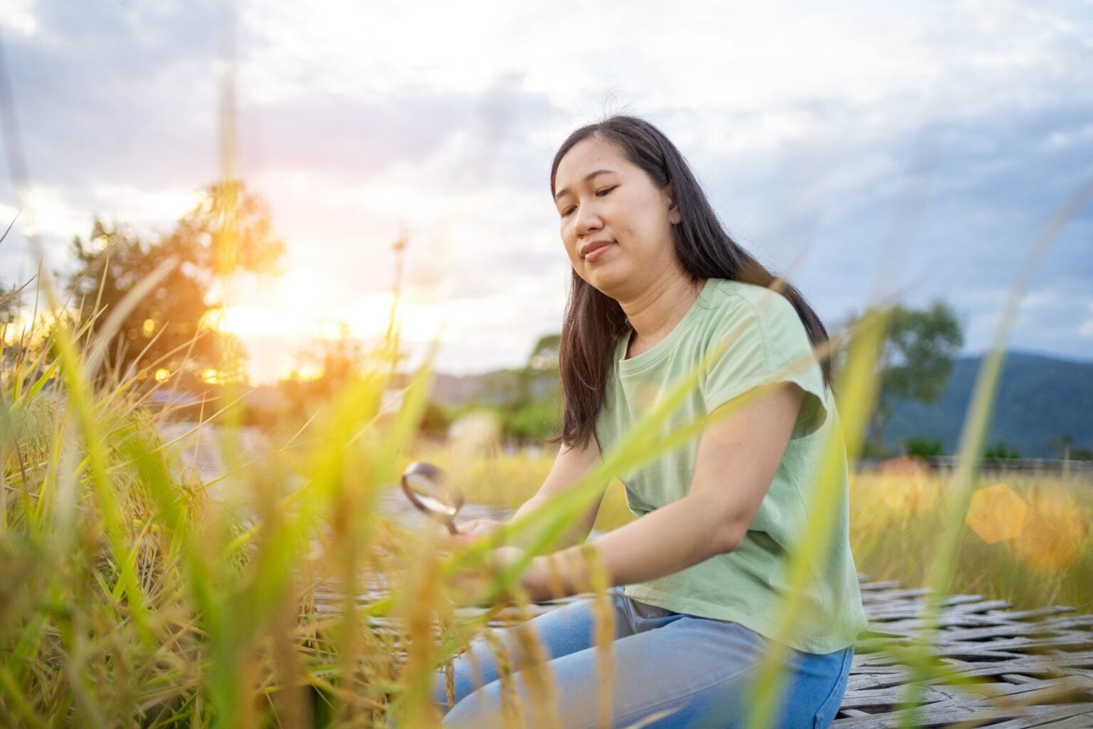 Woman harvesting rice at sunset.