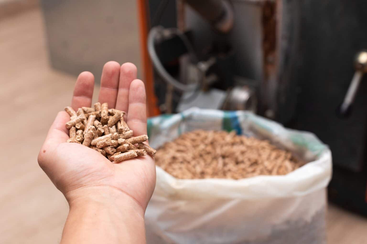 Hand holding wood pellets for heating